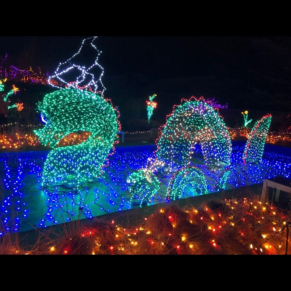 Meet your Posher, Stacie